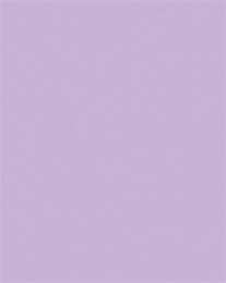 Dekorkarton, 2 oldalas, 50x70cm, 220 g, 10 lap, FOLIA, orgonalila